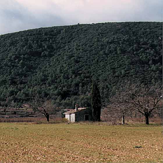 la roquebrussanne